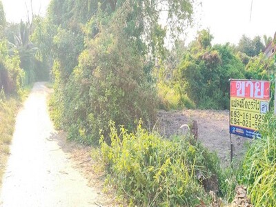 ขายที่ดิน 257 วา  ทำเลทอง ราคาถูก  ในแหล่งเทศบาลกระนวน ซำสูง ขอนแ