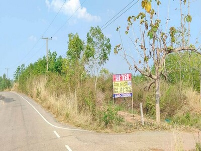 ขายที่ดินสวนยางพร้อมกรีด ราคาถูก 161-0-52 ไร่  คำบง บ้านผือ อุดรธ