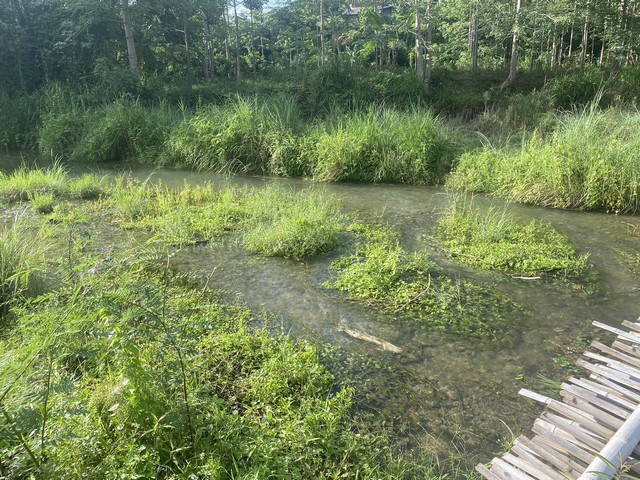 อสิงห์หา ขายเช่าทรัพย์ดีราคาคุยได้ผ่อนได้   ที่ดินติดลำธารน้ำใสไหลริน ชุ่มฉ่ำตลอดปี สวยวิวล้าน 800000บาท 3-0-35ไร่ อำเภอสันติสุข น่าน