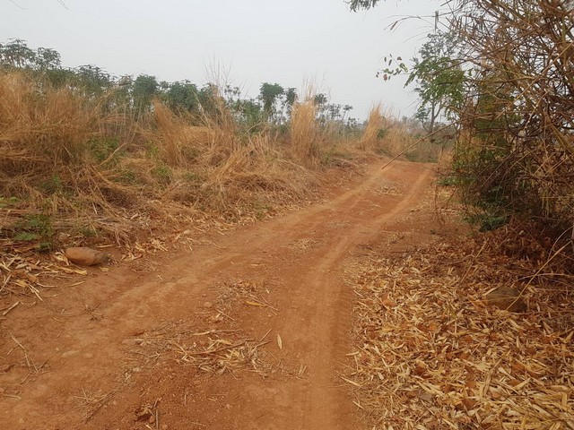 พร้อมขายที่สวยดินอุดมสมบูรณ์บนเนินเขาท่ามกลางธรรมชาติหล่มเก่า ดินดีทำเกษตรงาม  ที่ดินดีสมบูรณ์ หล่มเก่า เพชรบูรณ์ ใกล้ภูทับเบิก ไร่ๆละ 400000หล่มเก่าโทร 0968821857