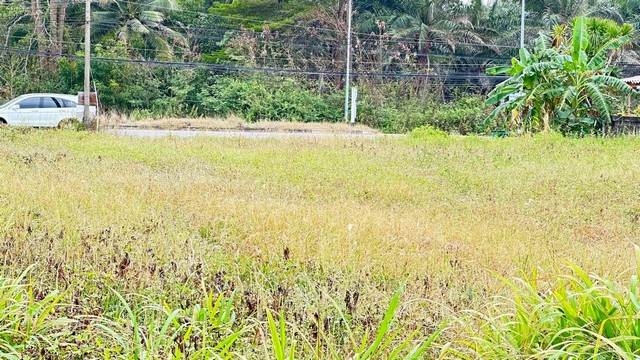 มิถุนากลางปีรับโปรดีดีข้อเสนอสุดพิเศษกับทีมการขายเน้นโทรตรงนะคะ   ขายที่ดินริมหาดสะพลีทรายขาวน้ำใสคราม สวยงามวิวทะเลธรรมชาติสุดสุด ปะทิวใกล้หาดสวยทุ่งวัวแล่น  