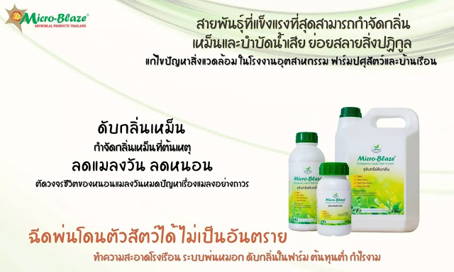 Micro-Blaze หัวเชื้อจุลินทรีย์รักษ์โลก จุลินทรีย์เข้มข้น จุลินทรีย์ดับกลิ่น ดับกลิ่นเหม็นแบบเร่งด่วน ในฟาร์มเลี้ยงสัตว์ และน้ำเน่าเสียภายในโรงงานอุตสาหกรรม