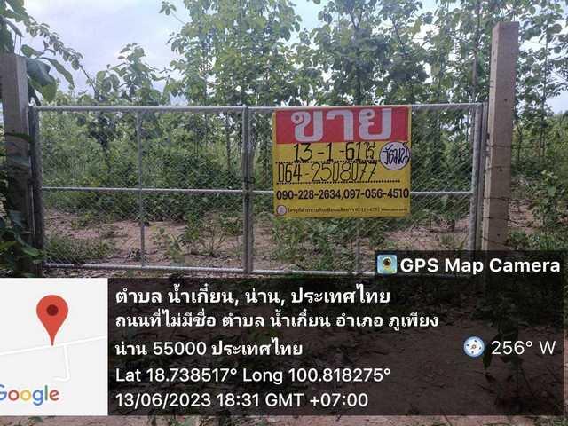 ขายที่ดิน พร้อมต้นสัก 13-1-61 ไร่  บ้านน้ำเกี๋ยน  ต.น้ำเกี๋ยน  อ.ภูเพียง  จ.น่าน    ZN470