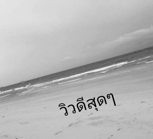 ให้เช่าหรทอขายที่ดินติดทะเลหาดสะพลีแปลงเล็กแบ่งขาย ทรายขาวน้ำใส  วิวทะเลธรรมชาติสุดสุด ปะทิวใกล้หาดสวยทุ่งวัวแล่น  ลงหาดส่วนตัวได้เลยริมชายหาดติดทะเล หาดสะพลี 119 ตร.วา 6.5ลบ.