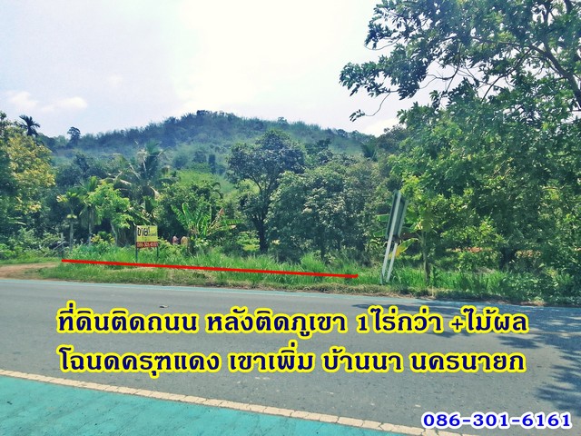 ถูกมาก!ค่ะ  ที่ดินพร้อมไม้ผล ทำเลการค้า  ติดถนนทางหลวง หลังติดภูเขา 1ไร่กว่า นครนายก 086-301-6161