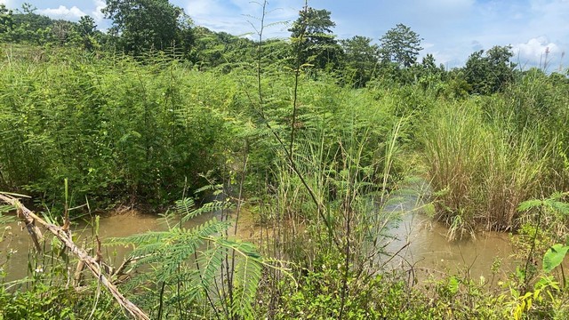 ขายหรือให้เช่าที่สวยวิวดีเมืองน่าน ตำบลพงษ์อำเภอสันติสุข ตลอดปี เมืองน่าน ลำธารเคล้าแก่งหินเย็นสบาย850000บาท 3-0-35ไร่ อำเภอสันติสุข น่าน