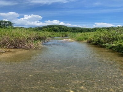 หาที่สวยวิวดีเงื่อนไขสบาย ที่ดินติดลำธาร น้ำมวบ ใสไหลฉ่ำตลอดปี จ.