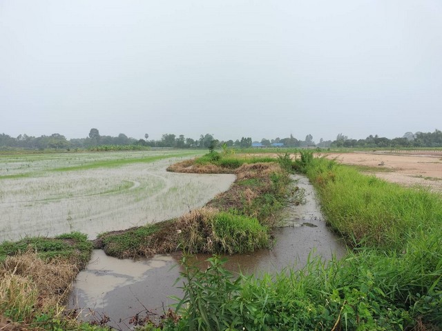 ขายๆที่ดินโฉนด นส.4 จ. บางอ้อ อ.บ้านนา จ.นครนายก ป็นที่ดิน ถมแล้วเต็มพื้นที่