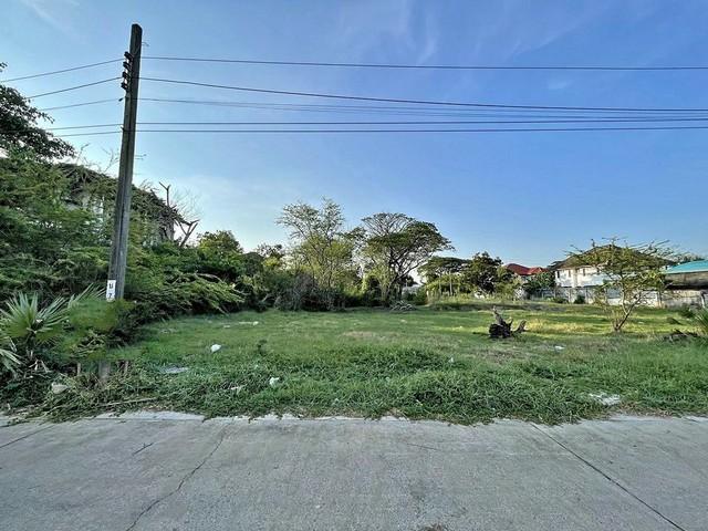 ขายที่ดินเนื้อที่ 150 ตารางวา หน้ากว้าง 23 ม.x ลึก 26 ม. อยู่ในหมู่บ้านเมืองทอง 2 โครงการ 4 ซอยพัฒนาการ 69 ทำเลดีเดินทางสะดวก