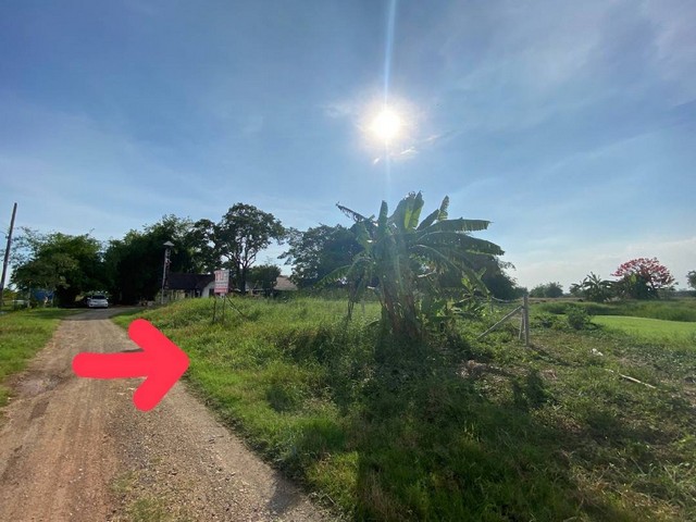 ขายที่ดินแปลงงาม :              หนองจอก กรุงเทพมหานคร