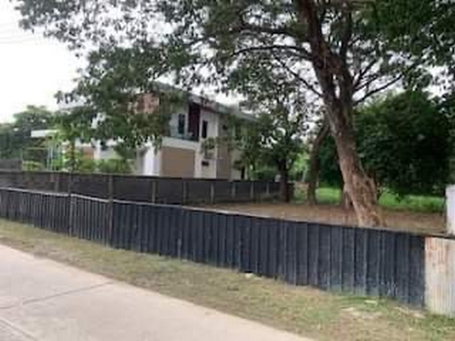 ขายที่ดินเปล่าอยู่กลางล้อมรอบด้วย Big C ดอนจั่น ห้างพรอมเมนาด้า หมู่บ้านพฤกษา ที่ดินขนาด 107 ตรว.