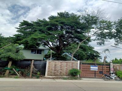 PZ1154  ขายที่ดิน พร้อมบ้าน  เนื้อที่ 200 ตรว. ลำลูกกา จังหวัดปทุ