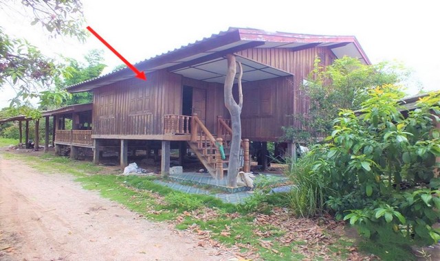 ขายบ้านไม้            อำเภอลี้  ลำพูน (PKK02-11755)