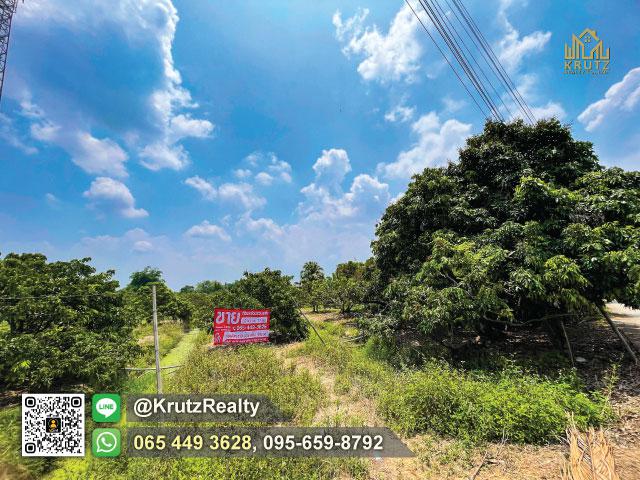 ขายดินที่เปล่าพร้อมสวนลำใย บนพื้นที่ 2 ไร่ 177 ตร.ว ติดถนน ราคาถูก ต.ชมภู อ.สารภี จ.เชียงใหม่ 