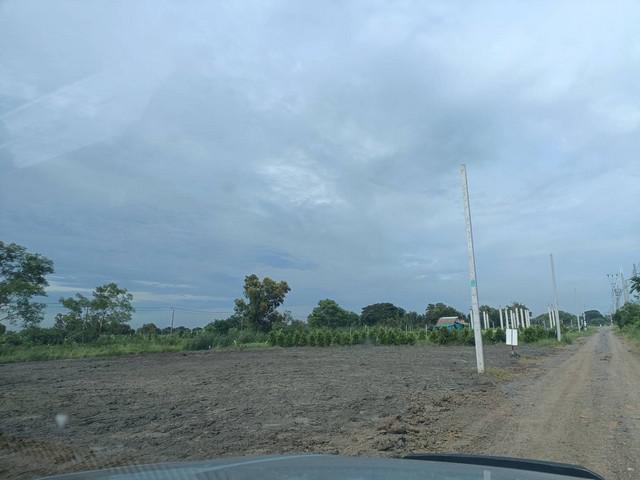 ขายที่ดินเปล่า ถมแล้ว เนื้อที่ 150 และ 200 ตารางวา มีคูน้ำด้านหลังทุกแปลง