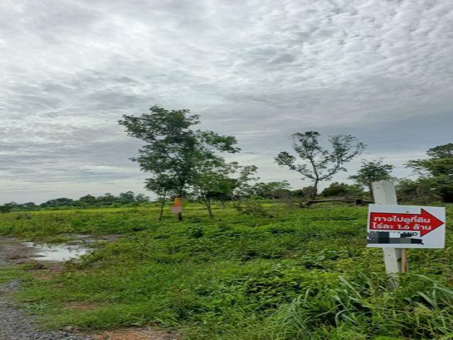 ขายที่ดินเปล่า ถมแล้ว เนื้อที่ 557 ตารางวา คลอง 12 หนองจอก กรุงเทพ