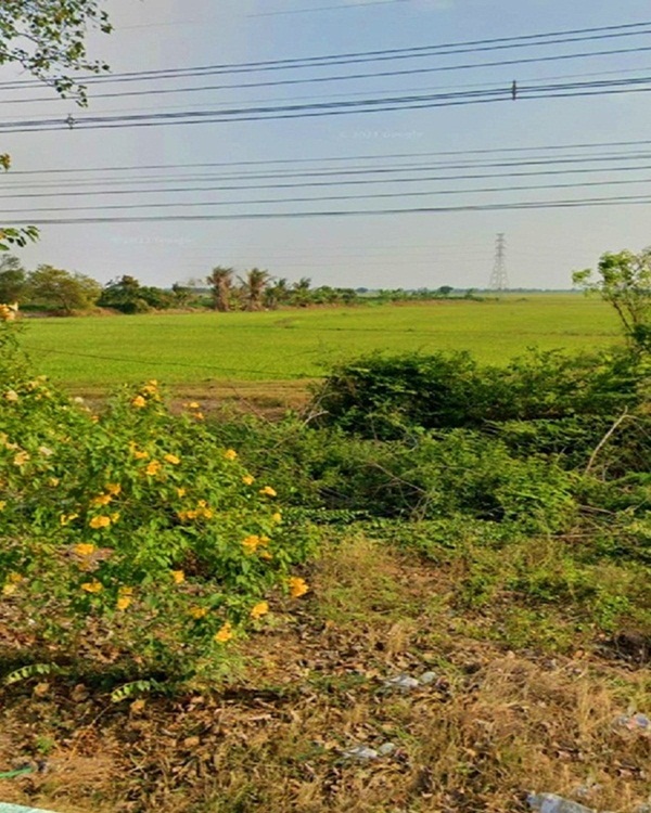 ขายที่ดิน 203 ไร่  ถนนบ้านท่ากระเบา อ.บ้านสร้าง จ.ปราจีนบุรี