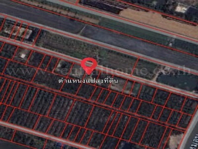 ที่ดินเปล่า 156.7 ตร.วา ถมแล้ว ตำบลบัวปากท่า บางเลน - นครปฐม 