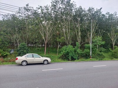 ขายที่ดิน พร้อมสวนยาง 29-0-61 ไร่ ติดถนนปาดังเบซาร์ สะเดา สงขลา