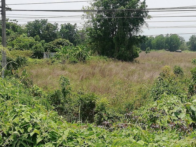 ขายไม่แพงนะคะที่ติดถนนเอเซียเมืองบ้านตาก ตาก ราคาคุยได้ค่ะ ติด AH1แบ่งแปลงเล็กขาย เมืองตาก  ที่แบ่งขายติด AH1 เมืองบ้านตากจังหวัดตาก  3-1-40 ไร่ ติดถนนเอเซีย AH1 ติดถนนพหลโยธินไร่ 3ลบ. โทร096-8821857