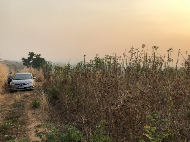 ขายไม่แพงจ้าที่บนภูเขาใกล้ภูทับเบิกราคากันเอง  หล่มเก่า เพชรบูรณ์  ธรรมชาติเนินเขา ที่ดินโฉนดแบ่งขาย สวยๆ ท่ามกลางธรรมชาติหล่มเก่า ดินดีทำเกษตรงาม  ที่ดินดีสมบูรณ์ หล่มเก่า เพชรบูรณ์ ใกล้ภูทับเบิก โทร 0968821857