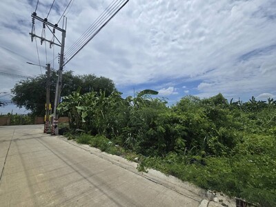 ขายที่ดิน ทวีวัฒนา-กาญจนาภิเษก 20 แปลงมุม ทำเลดี