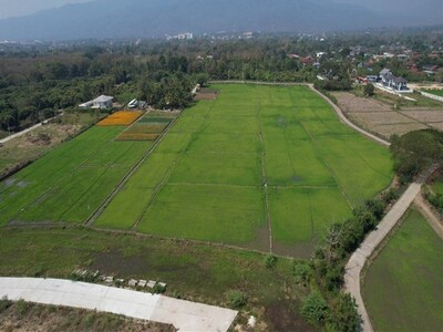 ขายที่ดินเขตอำเภอเมือง เชียงใหม่ วิวเขา เริ่มต้น 85 ตร.วา ราคาถูก