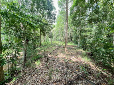 ขาย / ให้เช่า ที่ดินทำเลทอง “ลิปะน้อย เกาะสมุย”