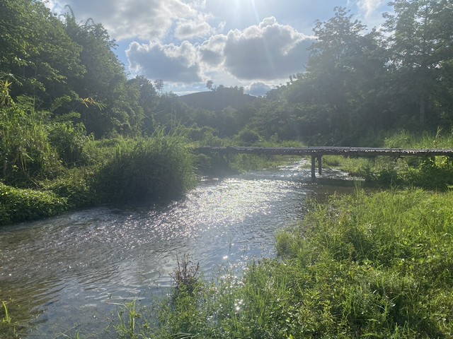 ฮวงจุ้ยดีรับปีมะโรง  ที่สวยวิวล้าน 850000บาท 3-0-35ไร่ อำเภอสันติสุข น่าน