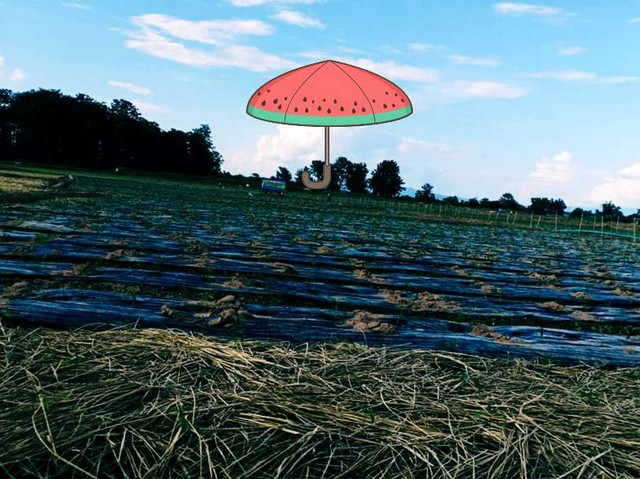 ฮวงจุ้ยดีรับปีมะโรงทรัพย์ดีสำหรับเจ้าของใหม่ ท่าวังผา น้ำใสไหลรินตลอดปี  ตำบลศรีภูมิ อ.ท่าวังผา จ.น่าน 850000 บาท สวยมากวิวน้ำน่านฟ้าใสอากาศดี