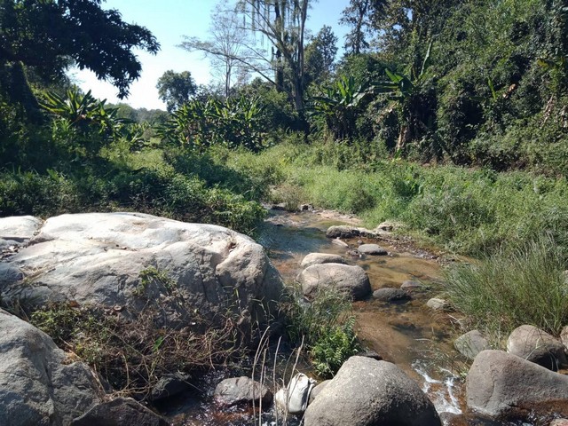 ที่ดินติดน้ำติดภูเขาบรรยากาศดี น้ำไหลตลอดปี เหมาะทำรีสอร์ท ลานกางเต้นท์แม่ออน