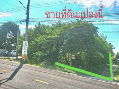 ที่ดิน ซอยร่วมใจพัฒนา ซ.1 ต.ศรีษะใหญ่ อ.บางเสาธง