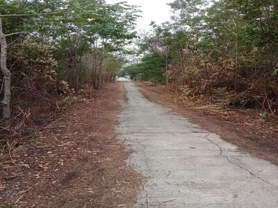 ขายที่ดินเปล่า ราคาถูก ใกล้ชุมชน อ.พระพุทธบาท จ.สระบุรี