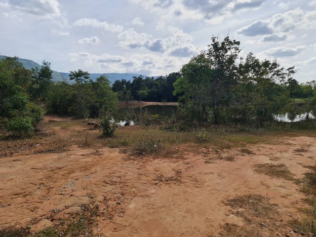 กุมภานี้มีทรัพยืดีมานำเสนอราคาต่อรองได้ ขาย ติดเทือกเขายาวเรียงแนว ดินดีสมบูรณ์ทรัพย์ในดิน  ตำบลนาจาน อำเภอสีชมพู ฟ้าใสอากาศดีขอนแก่น 