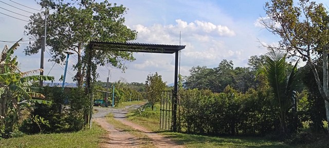 ขายสวนทุเรียนสวยๆ ตำบล ท่าหลวง อำเภอ มะขาม จังหวัด จันทบุรี พื้นที่ 22ไร่ 