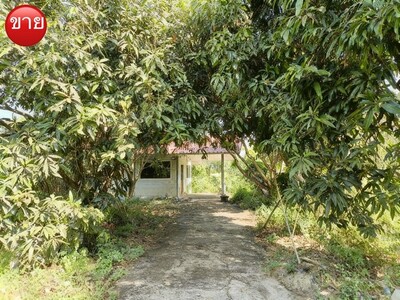 ขายที่ดิน 3,410,000บ. นนทบุรีที่ดิน341ตรว.บ้านสวนใกล้กรุงเทพ