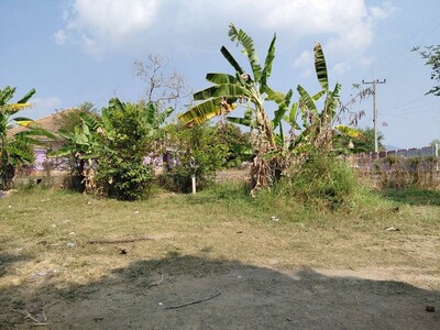 คุยง่ายขายคล่องเลือก ขายที่ปากช่อง 2-8ไร่ โฉนด ต.วังไทร ไร่ละ 2.9