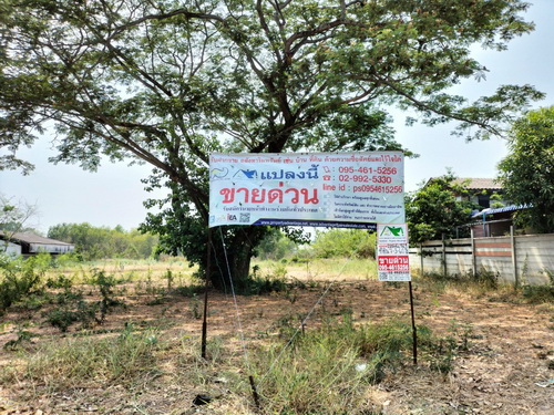 ขายที่ดินใน อำเภอหนองเสือ คลองสิบปทุมธานี 7-3-60.2 ไร่ ทำเลดี ถมแล้ว ติดถนน 2ด้าน 