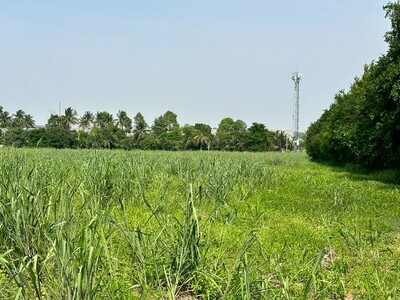 ขายที่ดินเปล่า (สีม่วงลาย) ใกล้นิคิม WHA -ปิ่นทอง5 เขาคันทรง