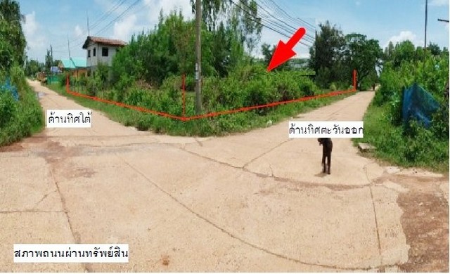 ขายที่ดินว่างเปล่า ใกล้วัดหนองโจด พังโคน สกลนคร PSC09606