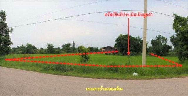 ขายที่ดินว่างเปล่า  อำเภอวังทอง  พิษณุโลก (PKK01-11916)