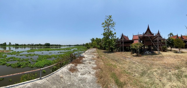 ขายที่ดินแปลงงาม      :                   สมุทรสาคร