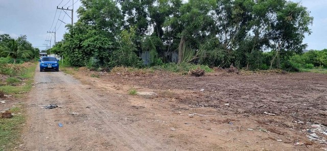 ขายที่ดินคลองห้า คลองหลวง ปทุมธานี น้ำและไฟมีพร้อม ที่ดินถมแล้ว ถนนกว้าง 8 เมตร ขนาด 100 ตรว.