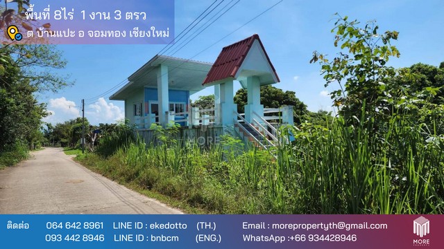 More-086LS ขายที่ดินจอมทอง 8 ไร่ 1 งาน 3 ตร.ว. ต.บ้านแปะ อ.จอมทอง จ.เชียงใหม่