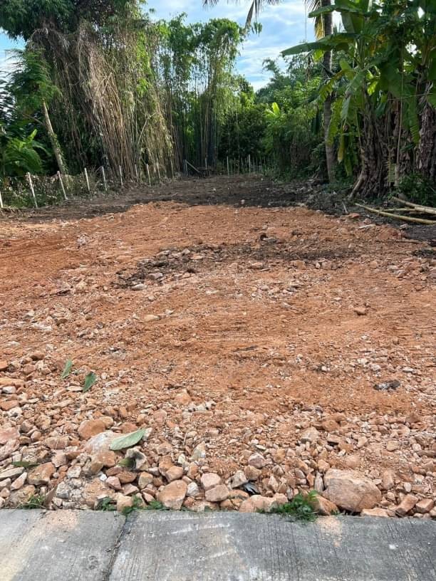 โซนสันทราย ขายที่ดิน 1.4 ล.เท่านั้น 89 ตรว. #สันทรายหลวง #ถนนสันทรายสายเก่า #ติดถนน 2 ด้าน #เหมาะสำหรับสร้างบ้าน​ เข้าเมืองเพียง 20 นาที