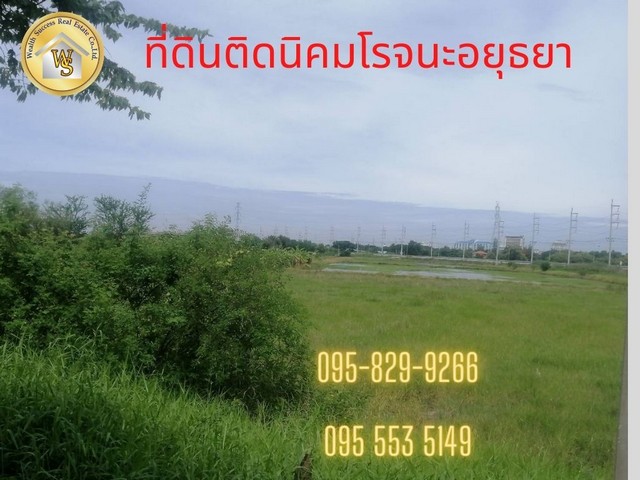 ขายที่ดิน 6-1-84 ไร่  ติดนิคมโรจนะ เข้าจากถนนหลัก 2045 แค่ 40 เมตร  ต. ธนู อ. อุทัย  อยุธยา