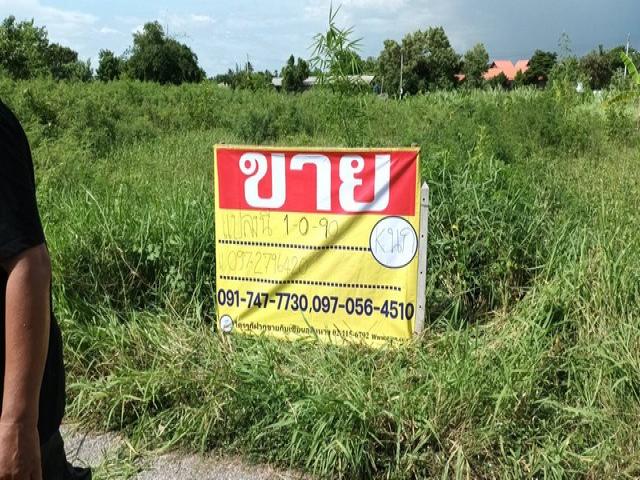 ขายที่ดินสวย ติดถนนเลียบคลอง เนื้อที่ 1-0-90 ไร่   ต.สวนป่าน อ.เมือง จ.นครปฐม  ZW222