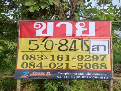 ขายที่นาสวย ติดคลองชนประทาน  5-0-84 ไร่ บ้านท่าตะเคียน  เมืองพิษณ