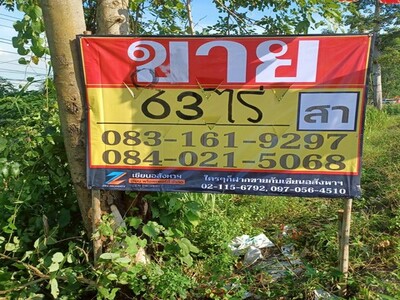 ขายที่ดิน ติดถนนสายหลัก 63-0-0 ไร่  บ้านวังเป็ด  บางระกำ  พิษณุโล