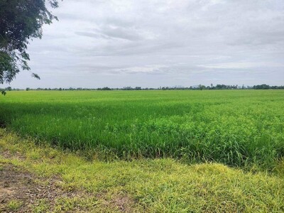 ที่นา 14-3-15 ไร่ ใกล้แหล่งน้ำ   ตาขีด  บรรพตพิสัย  นครสวรรค์